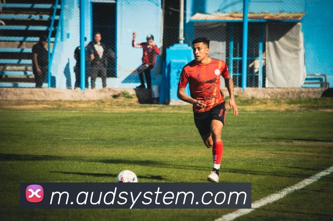 LEYU.COM平台生态图